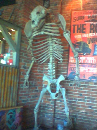 Jesse the Bear's bones